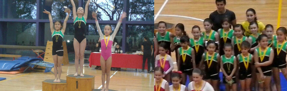 Gimnasio para Niños